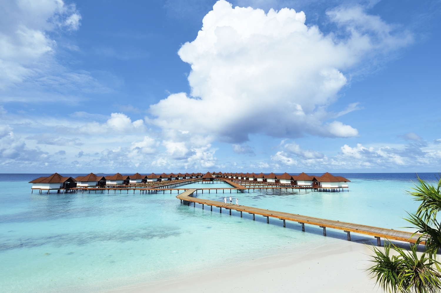 Мальдивы или Сейшелы, что лучше выбрать для отдыха