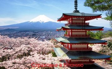 Страховка в Японию для туристов: виды, способы и правила