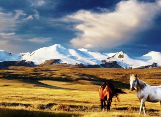 Нужна ли виза в Монголию для россиян и бывших стран СНГ