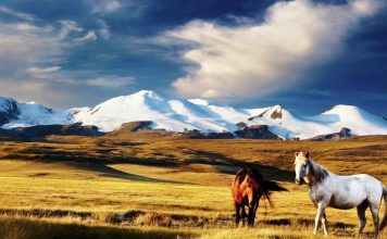 Нужна ли виза в Монголию для россиян и бывших стран СНГ